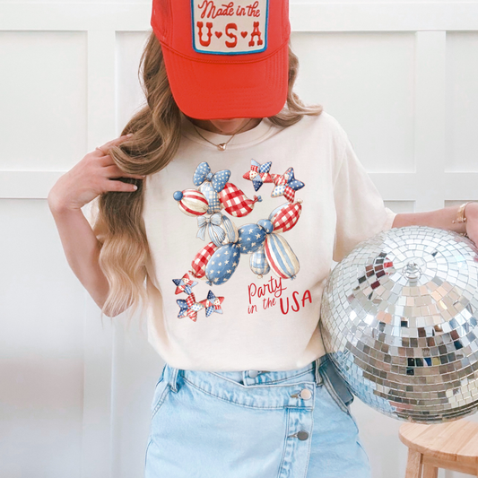 Party In The USA DTF Transfer