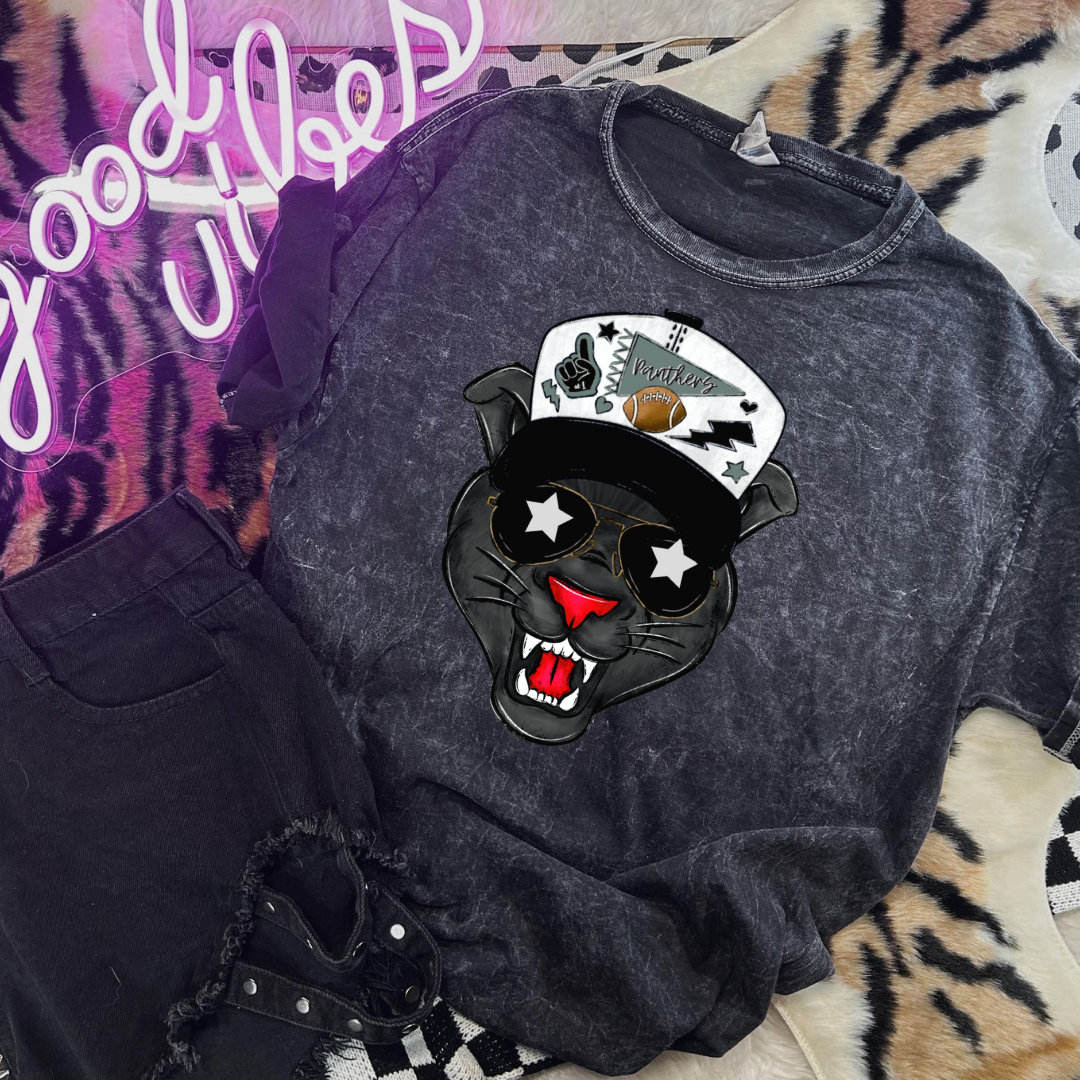 Panthers Grey Ball Cap Mascot DTF Transfer