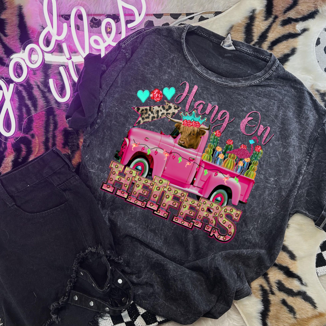 Hang On Heifers Truck DTF Transfer