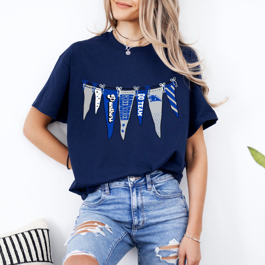Panthers Pennant DTF