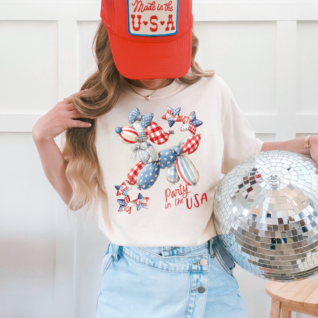Party In The USA DTF Transfer