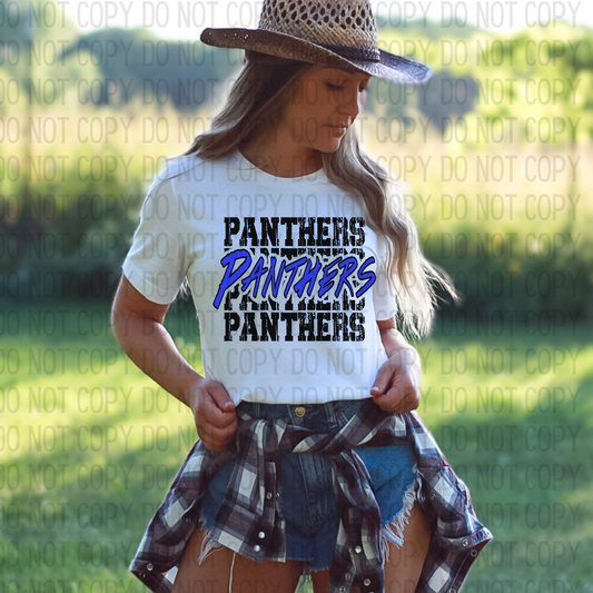 Stacked Panthers DTF