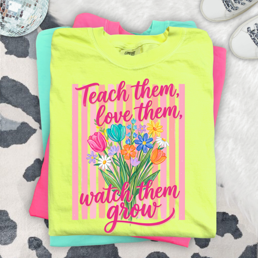 Teach Them Love Them DTf transfer