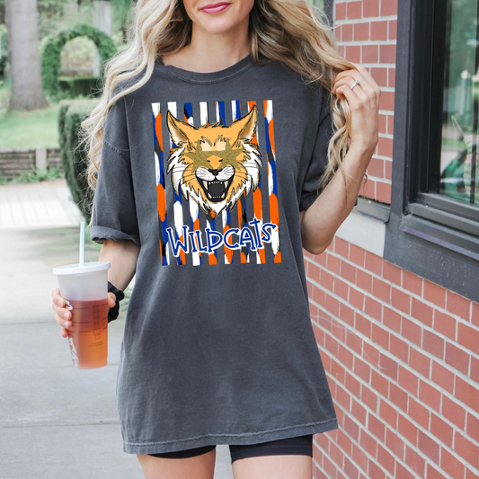 Starry Eyed Mascot Stripes DTF Transfer Custom