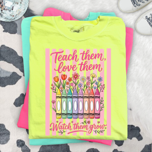 Teach Them Love Them Crayons DTF Transfer