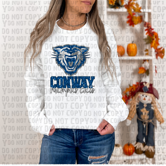 Conway Wampus Cats Glitter DTF