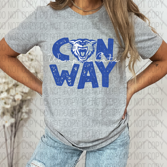 Conway Distressed DTF