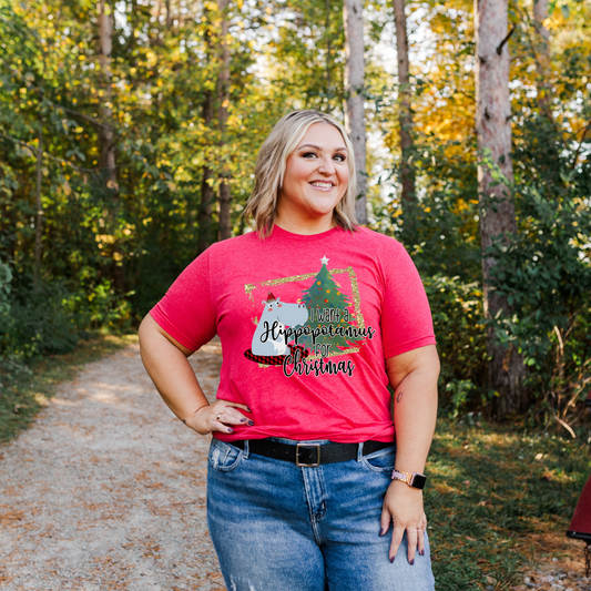 Hippo Christmas DTF