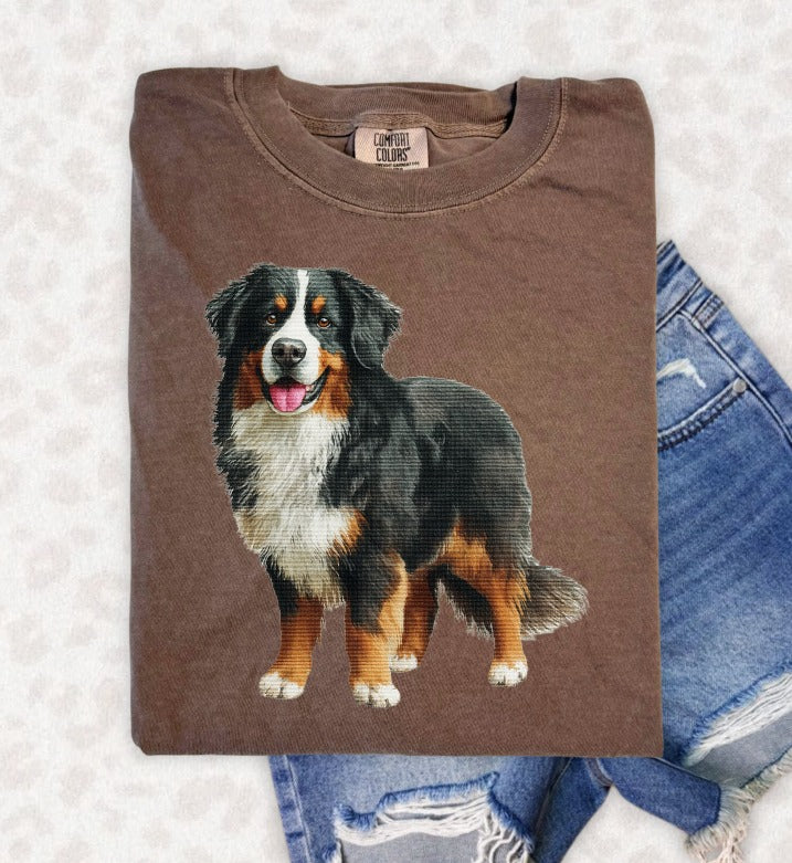 Needle Point Pets