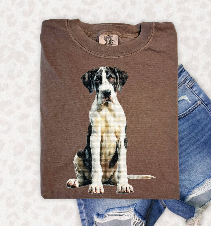Needle Point Pets