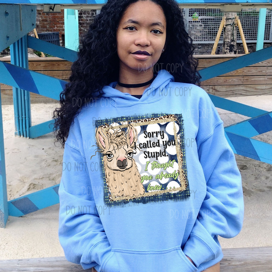 Sarcastic Llama DTF Transfer