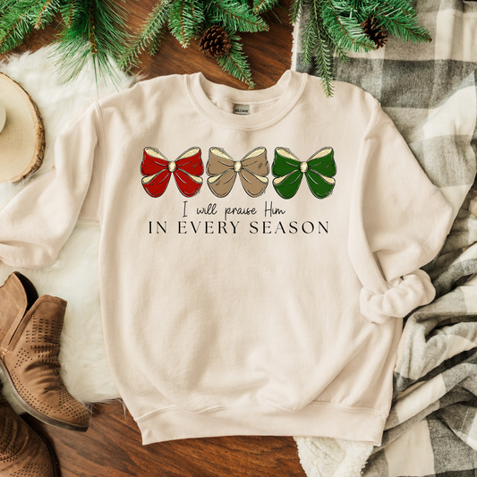 Praise Him In Every Season DTF Transfer