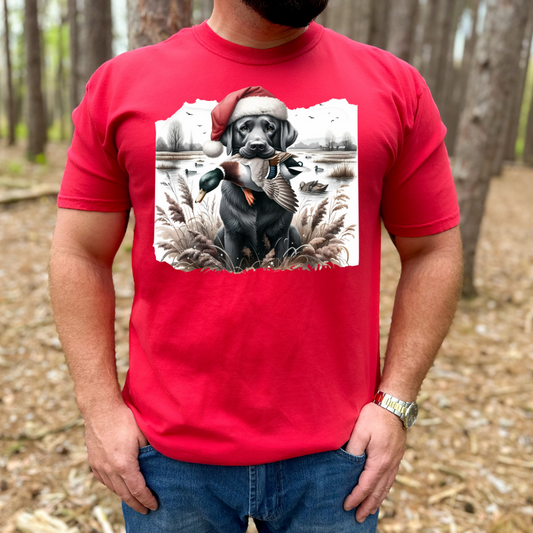 Santa Hat Duck Dog DTF