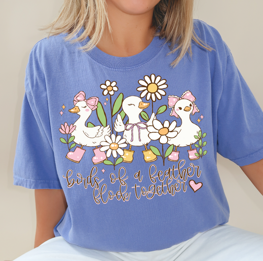 Birds Of A Feather Silly Geese DTF Transfer