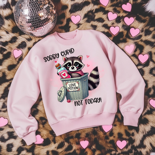 Sorry Cupid Not Today